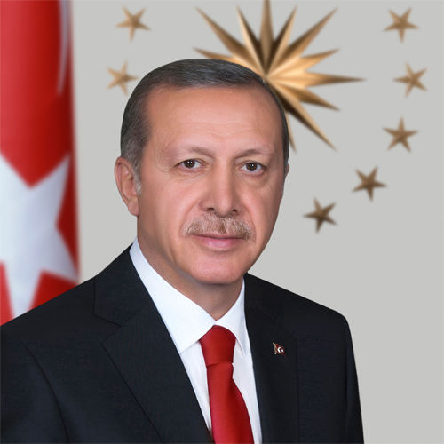 receptayyiperdogan-portre-03_edited.jpeg