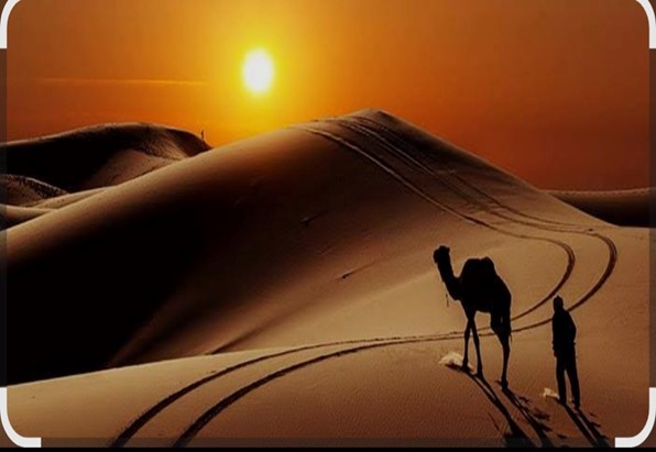 resim6-1.jpg resim6-1.jpg