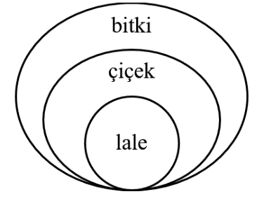s1.png s1.png